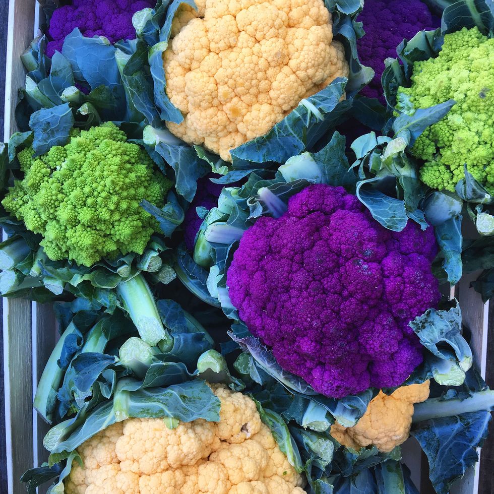 Multi-colored cauliflowers