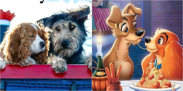 Dog, Canidae, Dog breed, Animated cartoon, Companion dog, Carnivore, Snout, Terrier, Animation, Sealyham terrier, 