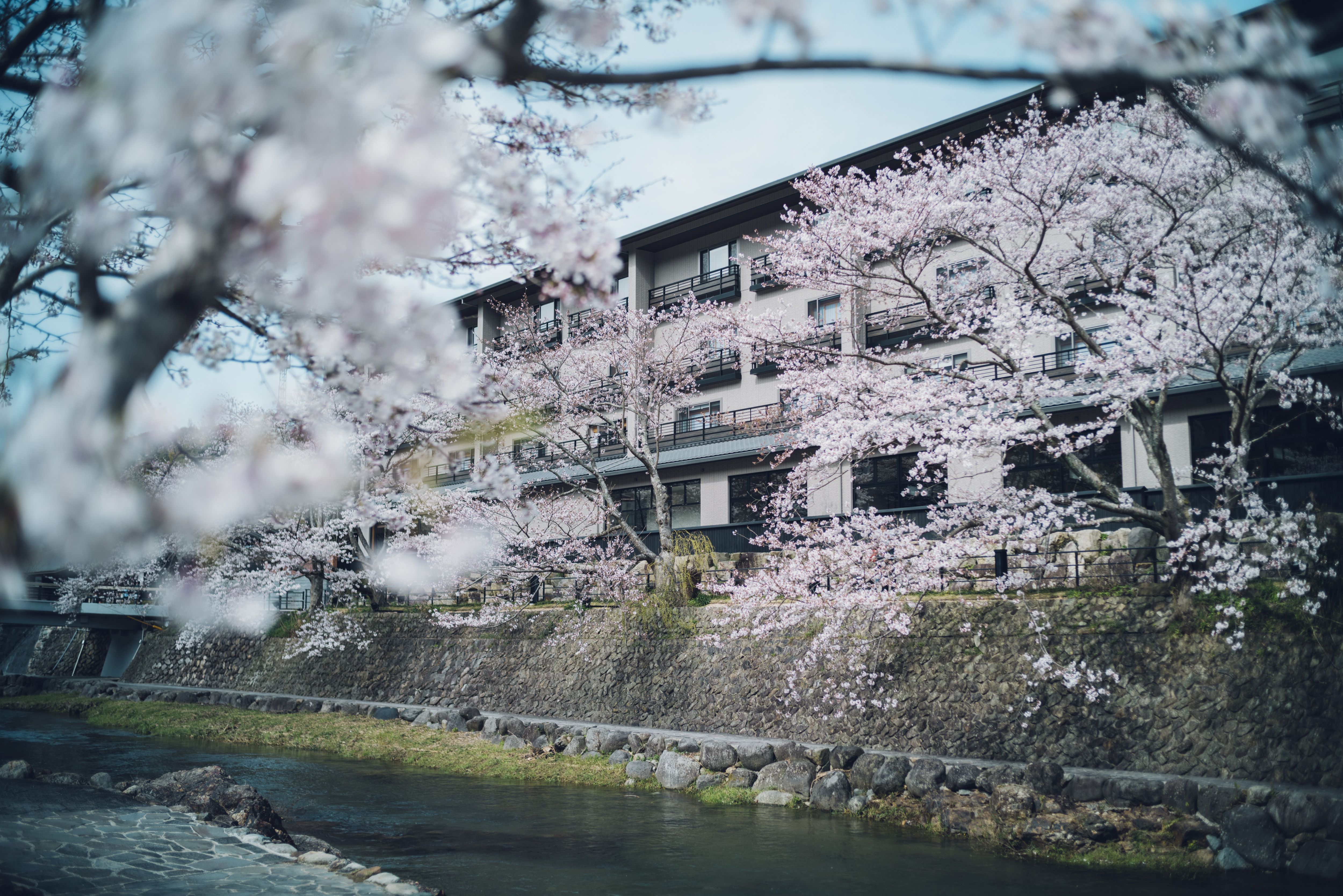 隠れ家のような温泉地で、のんびり優雅に花見三昧｜ハーパーズ バザー