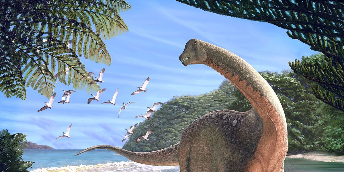 Illustratie van de nieuwe titanosaurir Mansourasaurus shahinae die zon tachtig miljoen jaar geleden leefde aan de kust van de huidige Libische Woestijn van Egypte