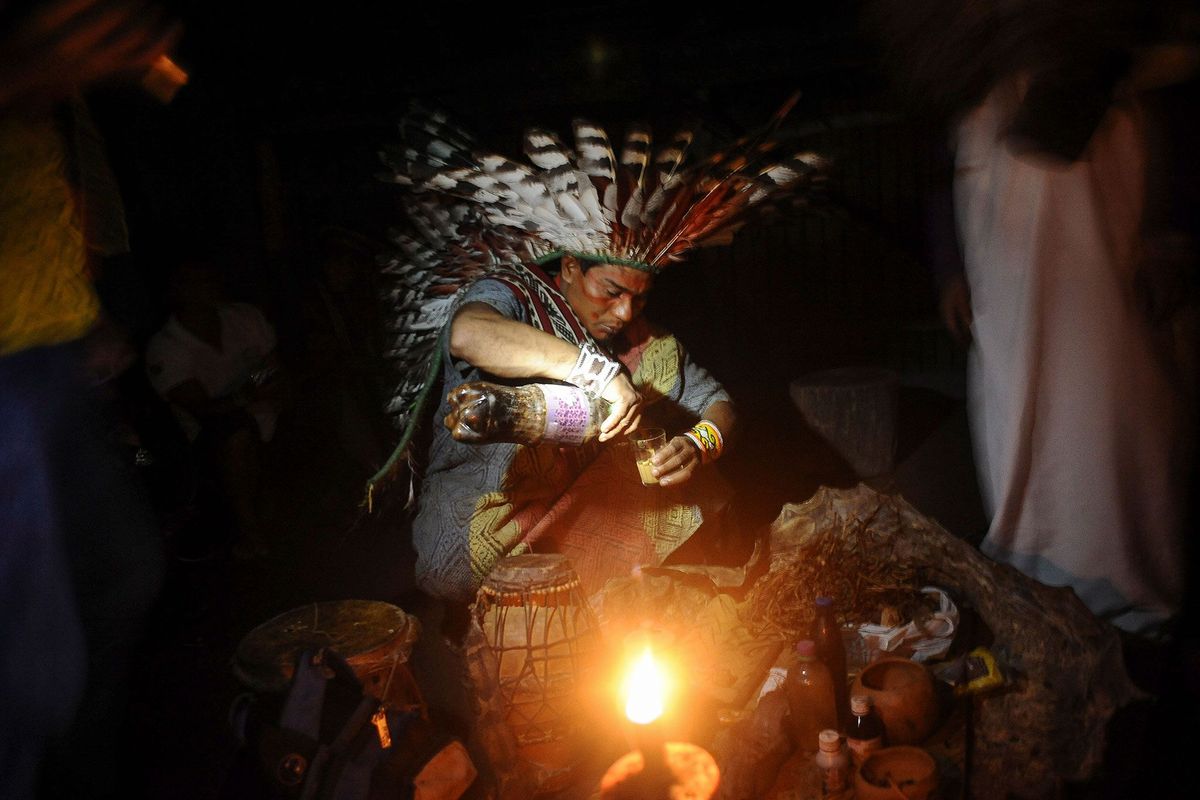 Een lid van de Braziliaanse Huni Kuistam bereidt ayahuasca voor gebruik bij een genezend ritueel De bereiding van de drank met psychoactieve planten kwam van oudsher al voor onder de volken van het Amazonebekken