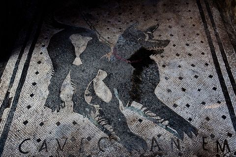 Op dit beroemde vloermozaek in de hal van een huis in Pompe staat CAVE CANEM te lezen Latijns voor Pas op voor de hond Het mozaek is bewaard gebleven dankzij de uitbarsting van de vulkaan Vesuvius in 79 na Chr