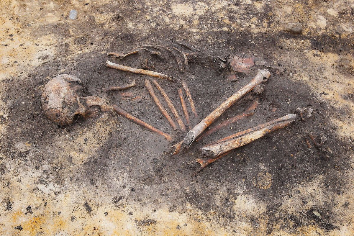 Terwijl archeologen de beginselen van sociale ongelijkheid zien in rijke en arme begraafplaatsen uit de Bronstijd helpen nieuwe wetenschappelijke analyses de genetische en geografische verschillen in de samenstelling van huishoudens te belichten