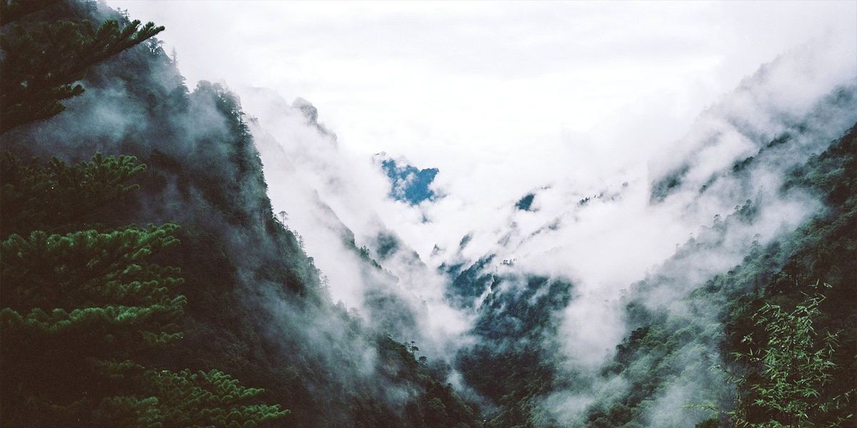 Bhutan is een van de meest ongerepte hotspots van biodiversiteit ter wereld Ongeveer 72 procent van het land is bedekt met bos en met instemming van de bevolking heeft de regering zestig procent van de wouden voor eeuwig tot beschermd gebied uitgeroepen Ondanks deze aandacht voor het milieu trekken de gletsjers van Bhutan zich terug doordat ze smelten wat tot gevaarlijke overstromingen en waterschaarste leidt