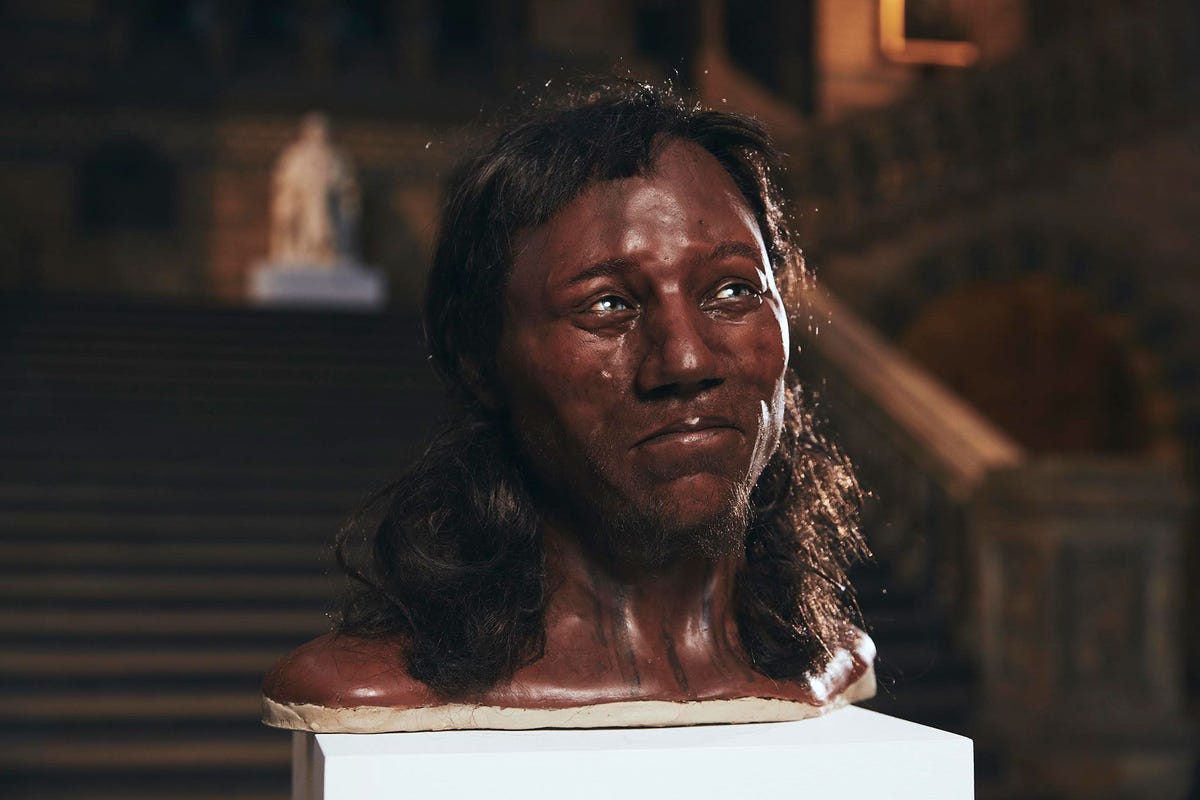 Door het sequentiren van oeroud DNA slaagden wetenschappers erin de huidskleur het haartype en de kleur van de ogen van de Cheddar Man te achterhalen