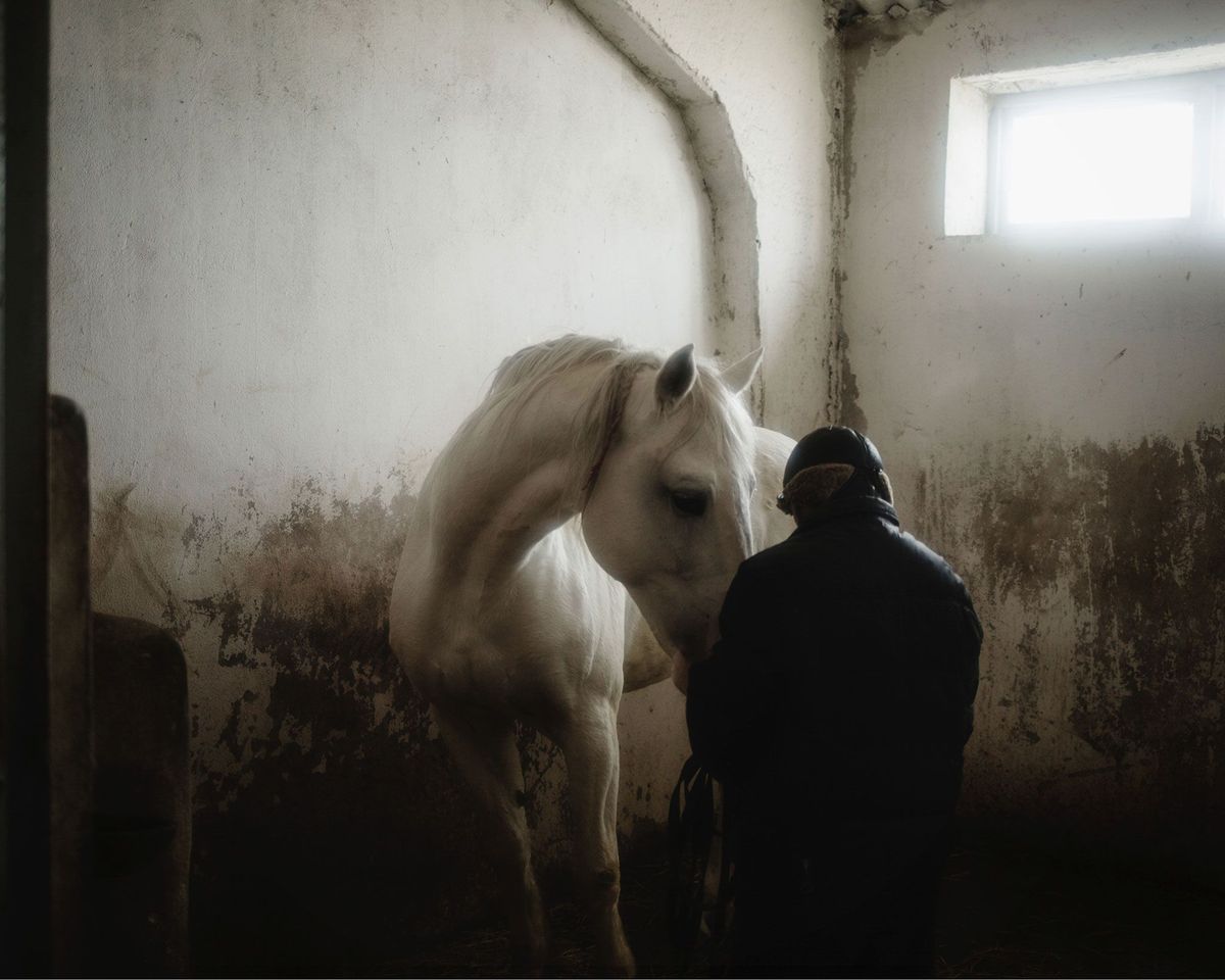 Een man verzorgt een van zijn paarden na een africhtsessie in de stoeterij van Konstantin Kelesh een paardenfokker van de vierde generatie uit de Keleshfamilie Zijn paarden zijn de trots van Gagaoezi