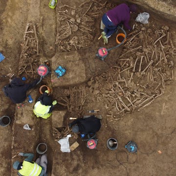 the excavation of a roman mass grave in vienna. the excavation of a roman mass grave in vienna.