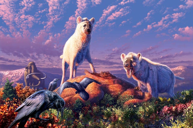 Hyenas