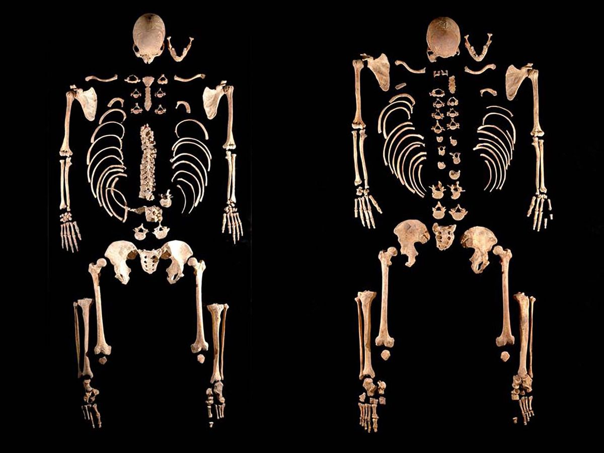Dankzij skeletten als deze van twee prehistorische jagerverzamelaars die toevallig broers waren hebben onderzoekers een verrassend gecompliceerd beeld van de genetica van de volken op het Iberisch schiereiland het huidige Spanje en Portugal kunnen reconstrueren