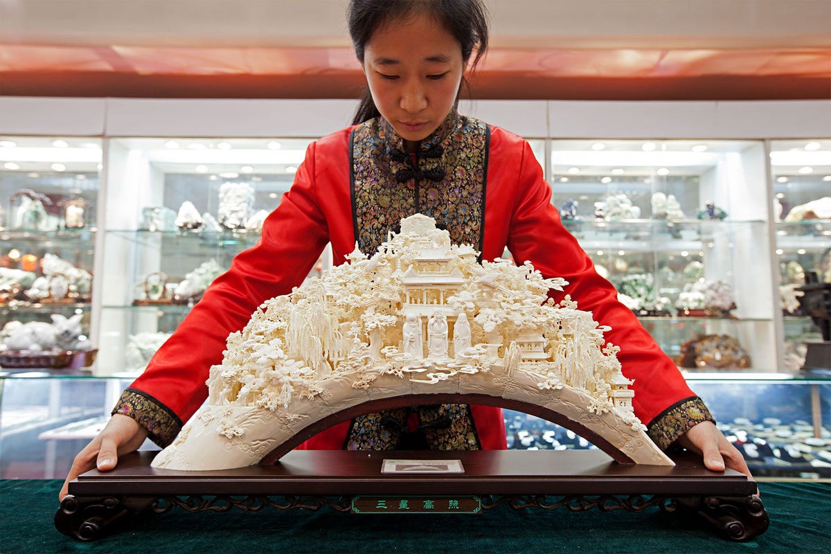 Na jaren waarin ivoorsnijwerk werd aangeprezen als onderdeel van het culturele erfgoed van het land zal de Chinese regering voor het eind van dit jaar alle officile fabrieken en handelshuizen op het gebied van ivoorsnijwerk sluiten