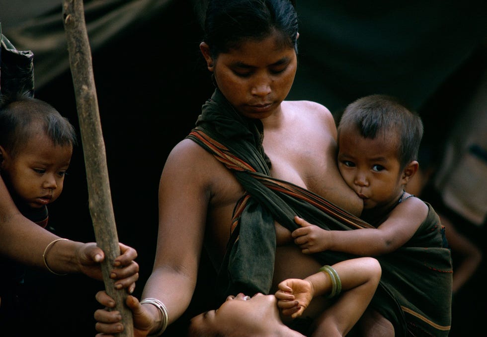 De National Geographicfoto die Paul McCartney inspireerde tot het schrijven van Lady Madonna Haar manier van leven en die van andere leden van de MalayoPolynesische stammen wordt bedreigd Ze gingen eeuwen geleden in de heuvels van Vietnam wonen maar worden daaruit verjaagd door de guerilla van Viet Cong die in de heuvels vechten