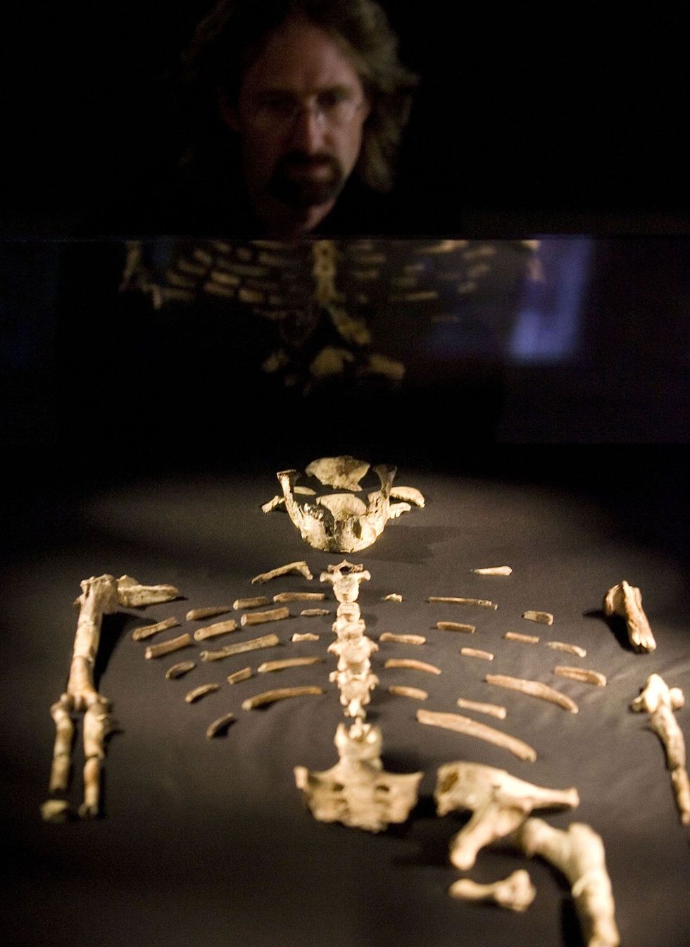 Tijdens een tentoonstelling in 2007 in het Houston Museum of Natural Science bekijkt een bezoeker de 32 miljoen jaar oude fossiele resten van Lucy een van de meest volledige individuen van de mensachtige soort Australopithecus afarensis
