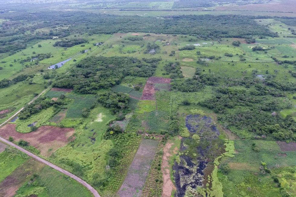 Op deze luchtfoto van de vindplaats Aguada Fnix die zonder hulp van de LiDARtechnologie is gemaakt is te zien hoe het monument in het beboste weideland opgaat