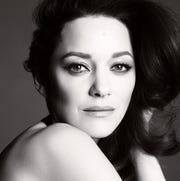 This is an image marion cotillard chanel no 5