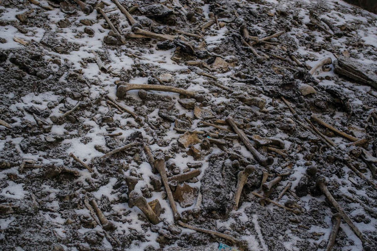 Menselijke beenderen liggen verspreid over de oever van het Roopkundmeer in de Himalaya