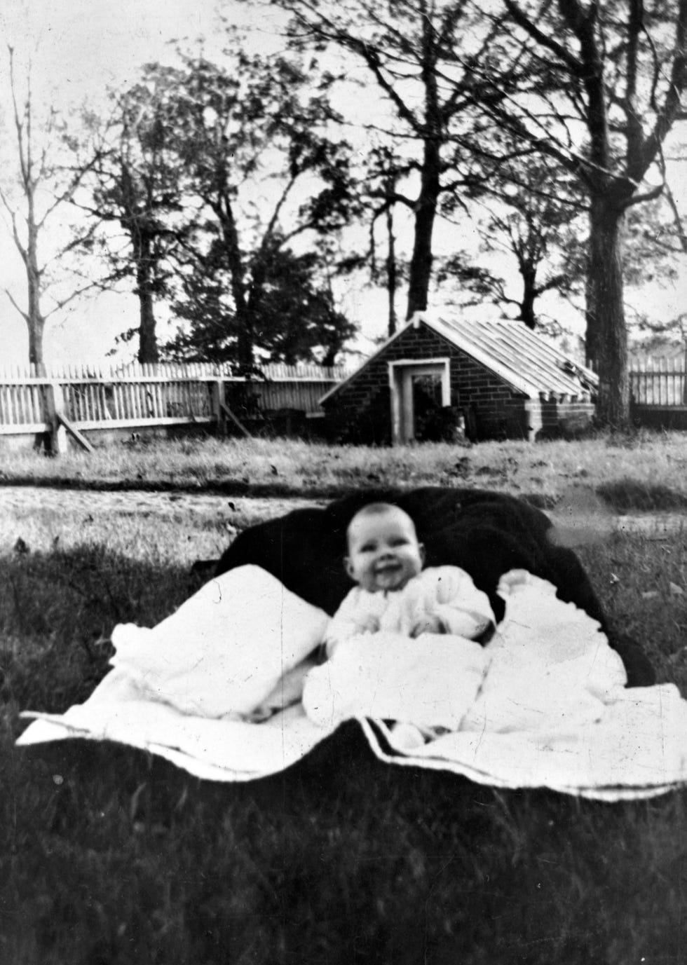 a baby lying in a blanket in a yard with trees and a house