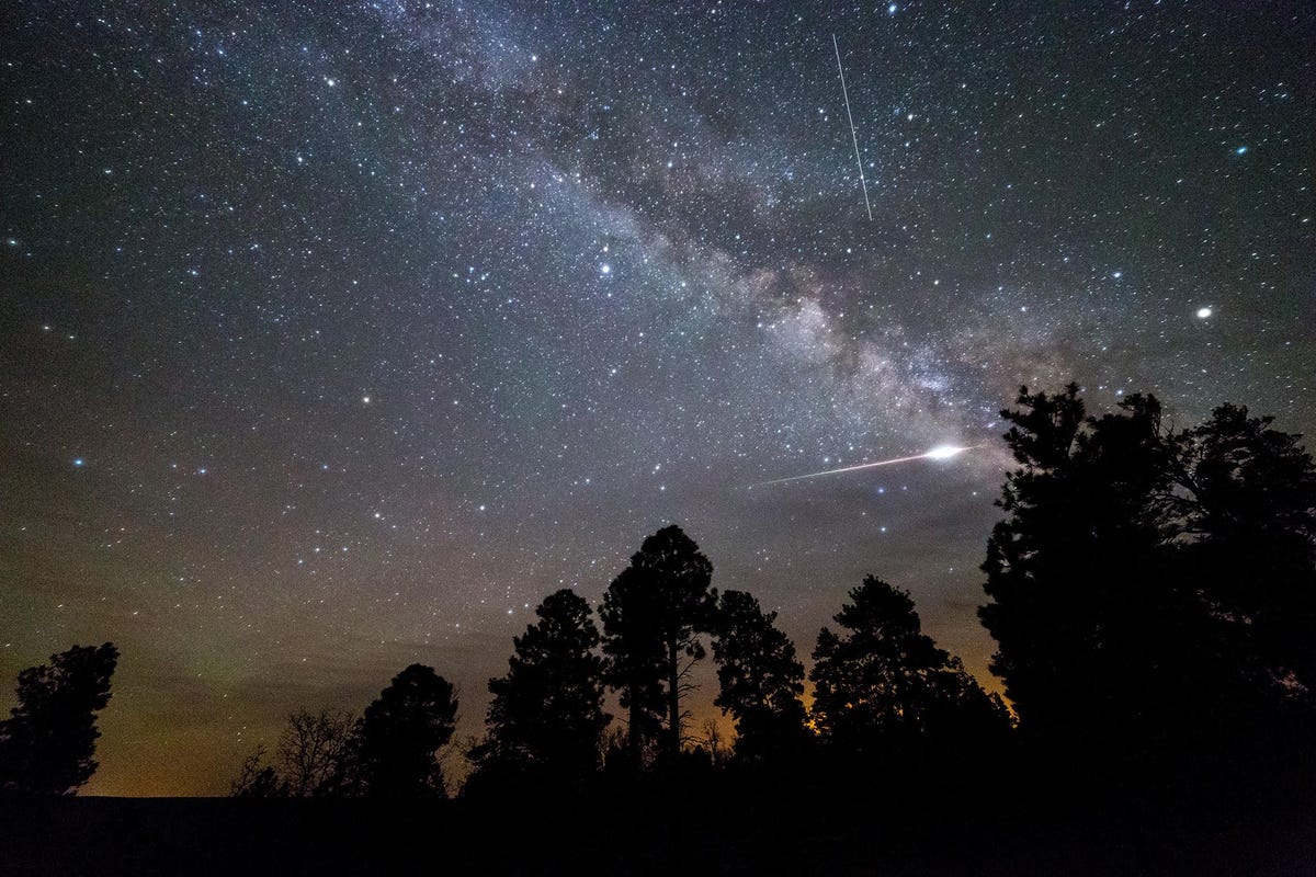 Een meteoor van de EtaAquaridenzwerm lijkt over de bomen langs de Arizona Trail te scheren in 2016 nabij de Grand Canyon