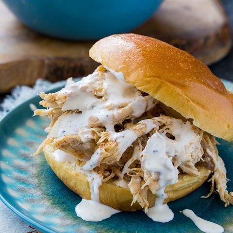 pulled chicken with white sauce sandwich