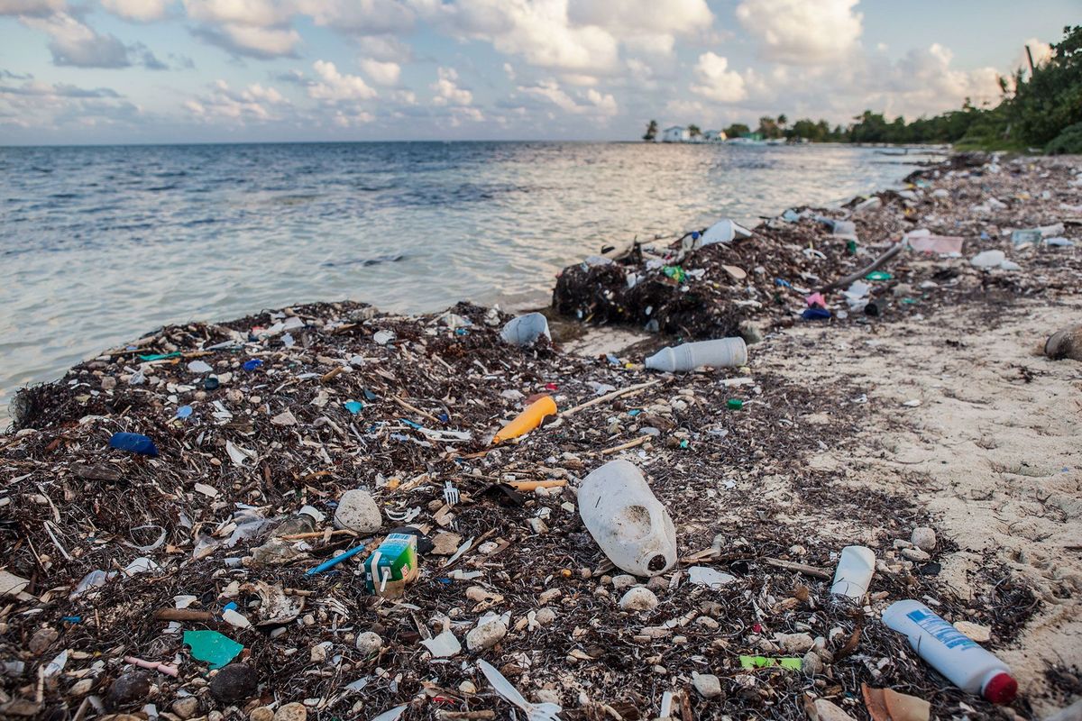 Jaarlijks wordt een hoeveelheid afval die vijf boodschappentassen zou kunnen vullen voor elke kustlijn achtergelaten Hier op een afgelegen eiland bij de Caribische Zee zijn massas afgedankte flessen wikkels en rietjes aagespoeld