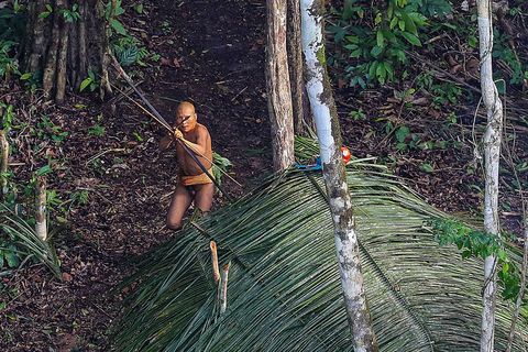 Een lid van een gesoleerde stam in de afgelegen jungle van Brazili staat op het punt een pijl af te schieten naar de helikopter die afgelopen week laag overvloog