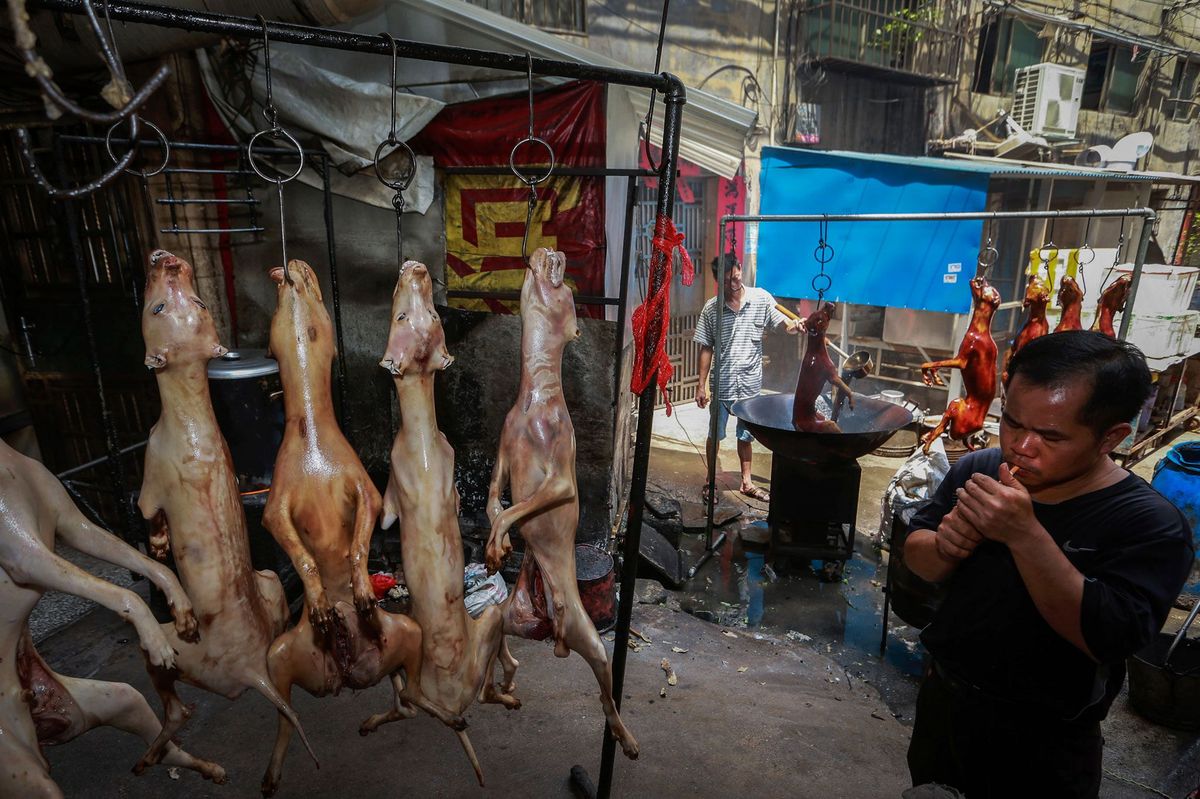 Op deze archieffoto van 21 juni 2015 steekt een man een sigaret op terwijl een kok bezig is honden te roosteren in een restaurant in Yulin in China Tegenstanders stellen dat het jaarlijkse hondenvleesfestival in de stad een smet werpt op de internationale reputatie van China Daarnaast zou het gepaard gaan met extreme dierenmishandeling en onhyginische voedselbereiding