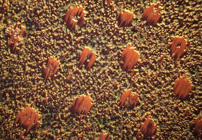 Fairy Circles: Weird Nature Patterns