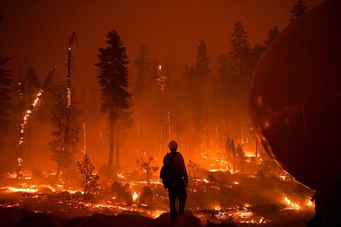in augustus rukte het grote caldor fire in californi op richting het lake tahoe basin brandweerlieden van cal fire en andere brandweerdiensten probeerden huizen en schuilkelders tegen de vlammen te beschermen circa duizend gebouwen waaronder zevenhonderd woningen werden bij de brand verwoest