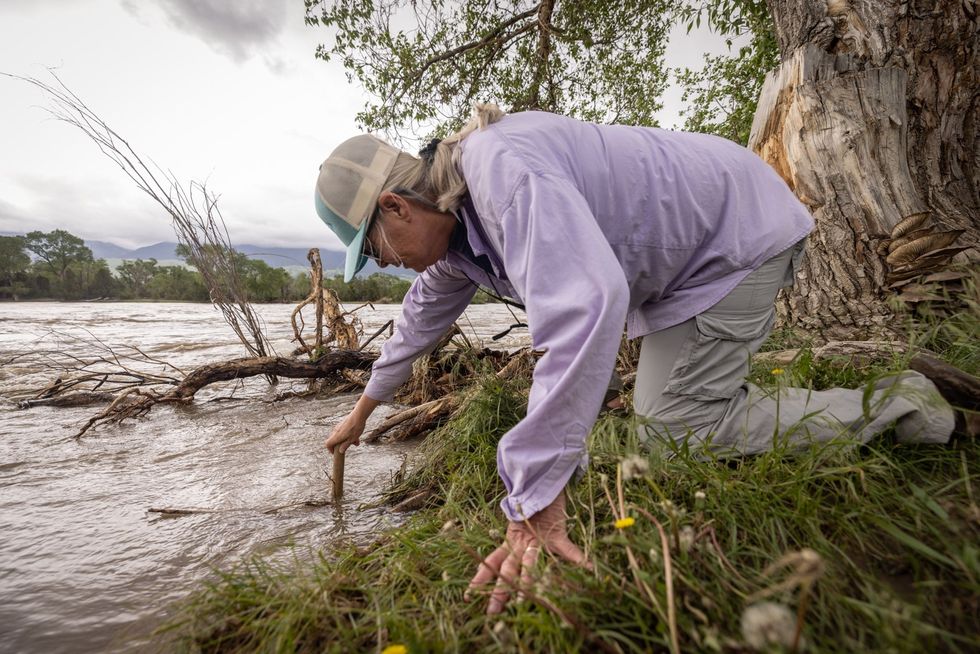 Boyd onderzoekt de veranderingen die door de overstromingen langs de rivier de Yellowstone zijn veroorzaakt