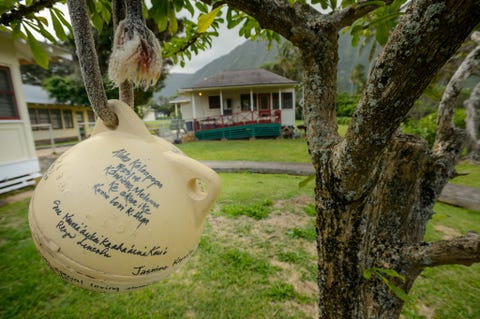 Een visboei aan een boom in KalaupapaDorp is beschreven met een gedicht in het Hawaaans