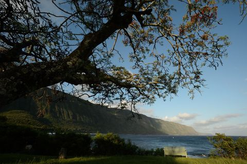 Dit bankje met uitzicht over steile klippen staat aan de noordwestkust van het eiland Molokai Hawa De klippen vormen een natuurlijke barrire tussen het schiereiland Kalaupapa en de rest van het eiland
