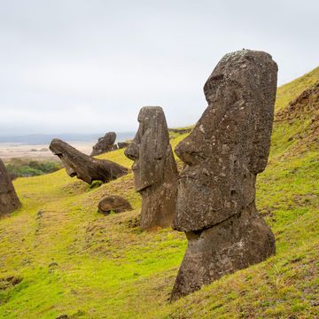 Honderden standbeelden ofmoais staan verspreid in het landschap van Paaseiland dat door de inheemse bevolking Rapa Nui wordt genoemd De meeste moais staan aan de kust en zijn met hun rug naar de oceaan gekeerd maar veel andere beelden hebben nooit de steengroeve van Rano Raraku op de foto verlaten waar ze lang geleden uit vulkanische tufsteen zijn uitgehouwen