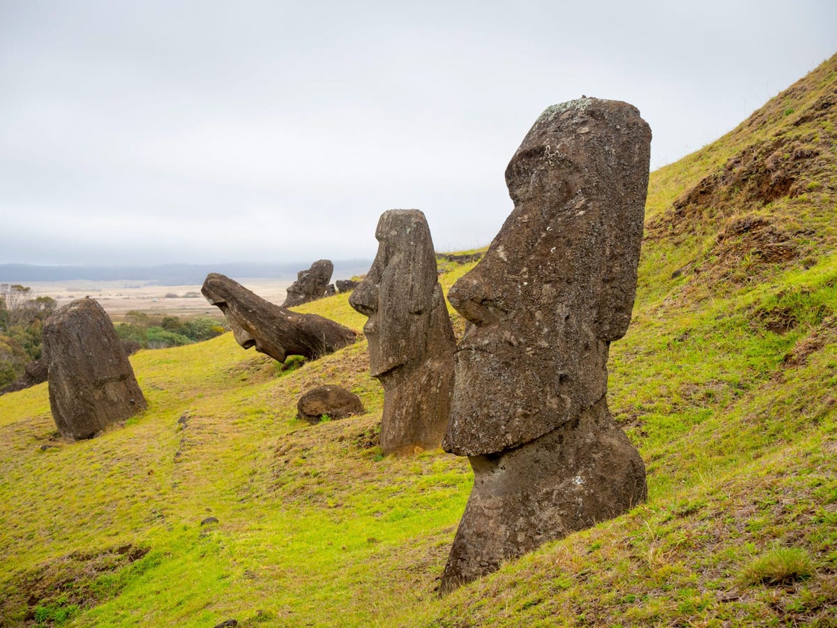 Honderden standbeelden ofmoais staan verspreid in het landschap van Paaseiland dat door de inheemse bevolking Rapa Nui wordt genoemd De meeste moais staan aan de kust en zijn met hun rug naar de oceaan gekeerd maar veel andere beelden hebben nooit de steengroeve van Rano Raraku op de foto verlaten waar ze lang geleden uit vulkanische tufsteen zijn uitgehouwen