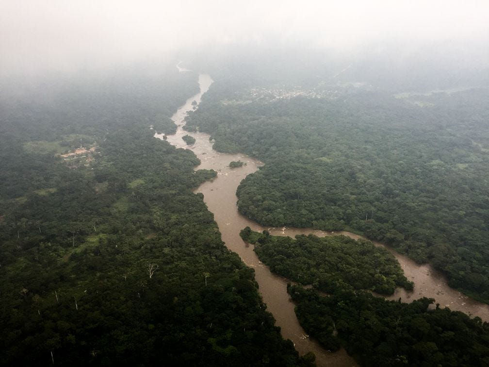 De rivier de Epulu stroomt door het Okapiwildpark een Unescowerelderfgoed in het door conflicten geteisterde oosten van de Democratische Republiek Congo