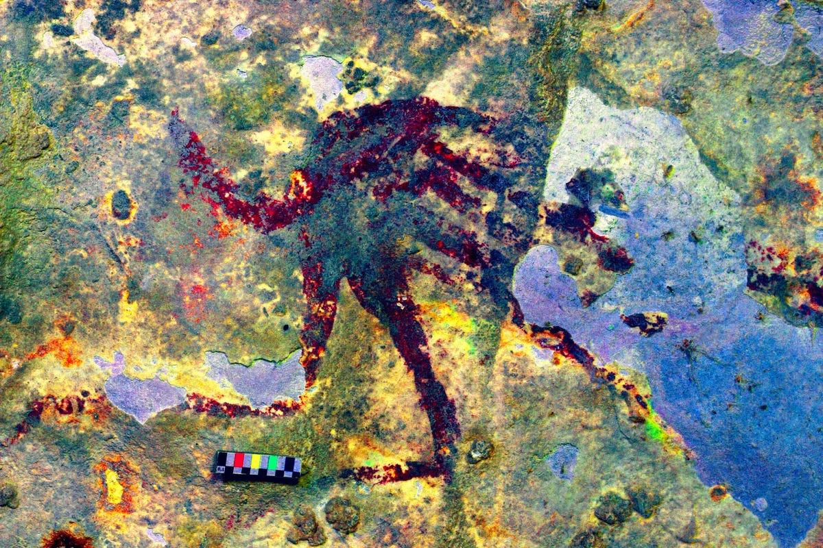 Op de wanden van een grot in het zuiden van het eiland Sulawesi zweeft een mensachtige figuur van een kleine dertien centimeter doorsnede boven de kop van een wrattenzwijn De figuur wordt genterpreteerd als een 44000 jaar oude jager en lijkt uitgerust te zijn met een stompe staart terwijl zijn armen zijn verbonden met een langgerekt smal voorwerp