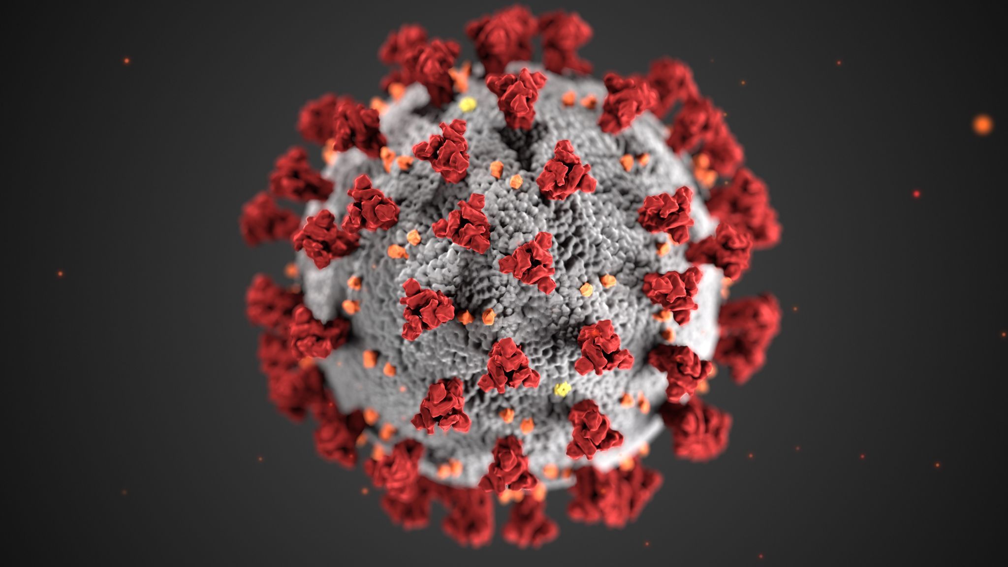 Wat Is Het Coronavirus?