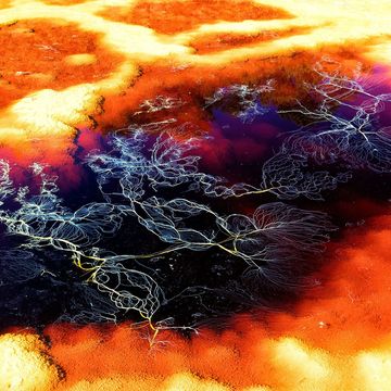 De Marsachtige mineralen in de streek rond de rivier de Rio Tinto in Spanje hebben wetenschappers op het spoor gezet van de bizarre microben die in deze vijandige omgeving gedijen en inzicht opleveren in mogelijke buitenaardse levensvormen