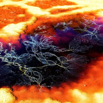 https://www.nationalgeographic.com/content/dam/science/2018/10/1001/Cyanobacterial/01_cyanobcaterial_gettyimages-1023145948.jpg De Marsachtige mineralen in de streek rond de rivier de Rio Tinto in Spanje hebben wetenschappers op het spoor gezet van de bizarre microben die in deze vijandige omgeving gedijen en inzicht opleveren in mogelijke buitenaardse levensvormen
