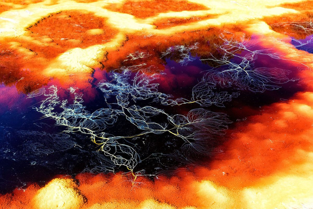 De Marsachtige mineralen in de streek rond de rivier de Rio Tinto in Spanje hebben wetenschappers op het spoor gezet van de bizarre microben die in deze vijandige omgeving gedijen en inzicht opleveren in mogelijke buitenaardse levensvormen