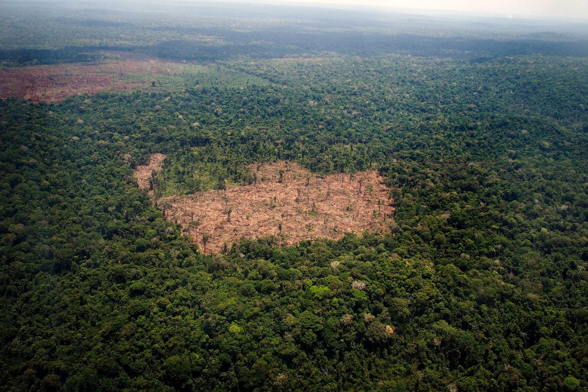 Een ontbost stuk land midden in het Amazonewoud in Brazili het gevaarlijkste land voor milieuactivisten