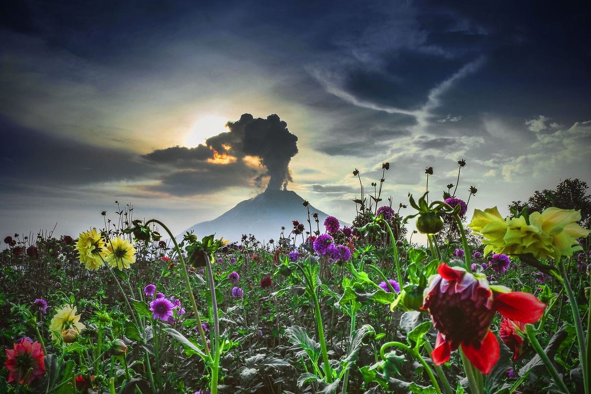 Vierhonderd jaar lang leed de Sinabung in het westen van Indonesi een sluimerend bestaan voordat hij in augustus 2010 uitbarstte Sindsdien herinneren zijn woedeaanvallen  zoals deze in april 2015  ons aan zijn ligging op de Ring van Vuur Dit gebied van onder elkaar schuivende aardschollen loopt rond de Stille Oceaan en omvat 75 procent van alle actieve vulkanen op aarde