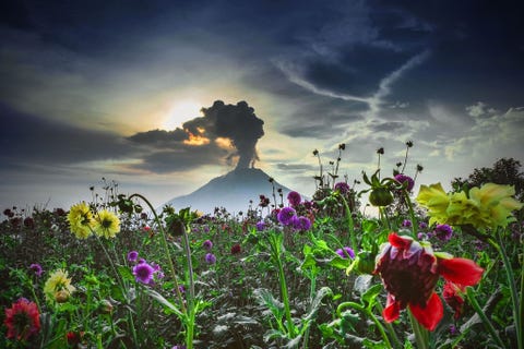 https://www.nationalgeographic.com/content/dam/science/2019/09/23/earth_action/01_eruption_gettyimages-470446172.jpg Vierhonderd jaar lang leed de Sinabung in het westen van Indonesi een sluimerend bestaan voordat hij in augustus 2010 uitbarstte Sindsdien herinneren zijn woedeaanvallen zoals deze in april 2015 ons aan zijn ligging op de Ring van Vuur Dit gebied van onder elkaar schuivende aardschollen loopt rond de Stille Oceaan en omvat 75 procent van alle actieve vulkanen op aarde
