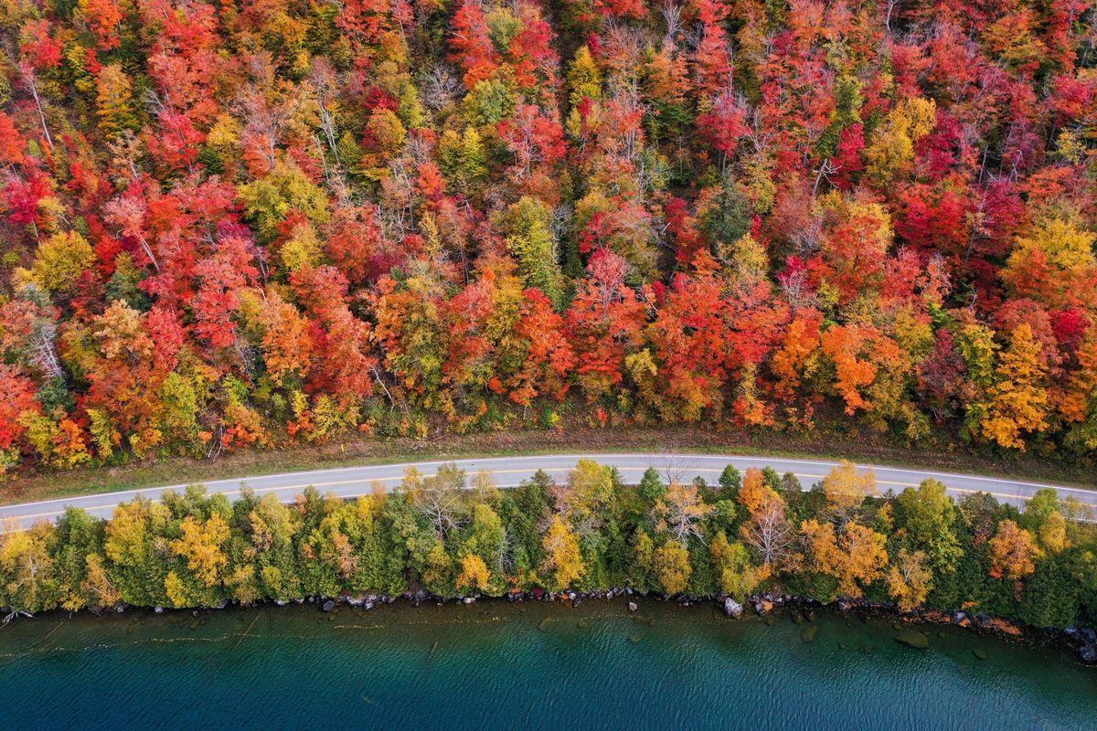 Terwijl de dagen in oktober korter worden en de temperatuur begint te dalen ontvouwt dit bos in Newark Vermont een imposant scala van rode en goudgele tinten De klimaatverandering leidt gemiddeld tot een steeds warmere herfst wat een negatieve uitwerking heeft op de jaarlijks terugkerende herfsttooi van wouden in het oosten van de VS
