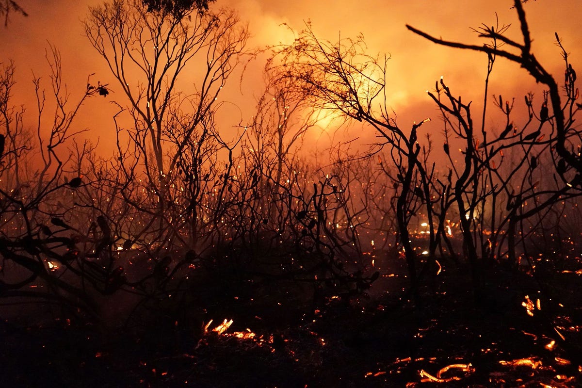 Een bosbrand trekt op 28 november 2018 door het Deepwater National Park in Queensland Australi Door het uitbreken van bosbranden tijdens een zware hittegolf in de deelstaat Queensland in het noordoosten van Australi moesten duizenden inwoners worden gevacueerd