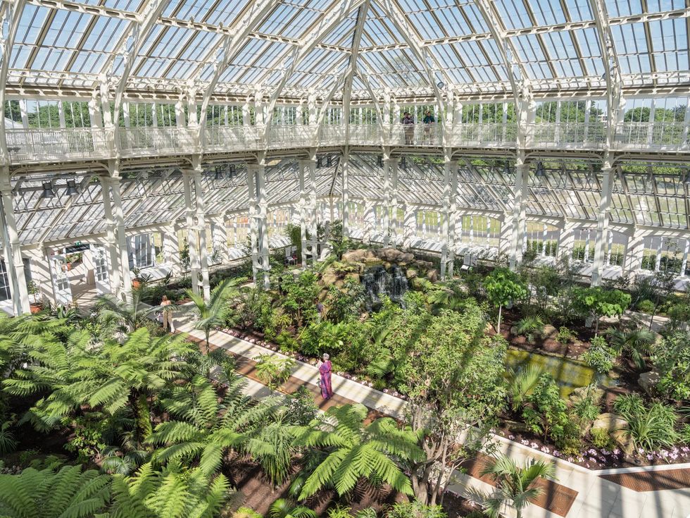 De Royal Botanic Gardens in Kew aan de Theems biedt bezoekers van Londen de kans om even op adem te komen De tuin tien kilometer buiten het stadscentrum herbergt duizenden planten die zijn verzameld in alle uithoeken van het voormalige Britse Rijk