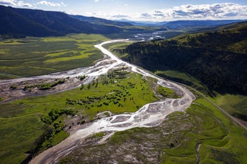 In de vallei van de Gardiner River even ten zuiden van de noordingang van het Yellowstone National Park heeft een stortvloed van water volgroeide bomen en een deel van de weg meegevoerd