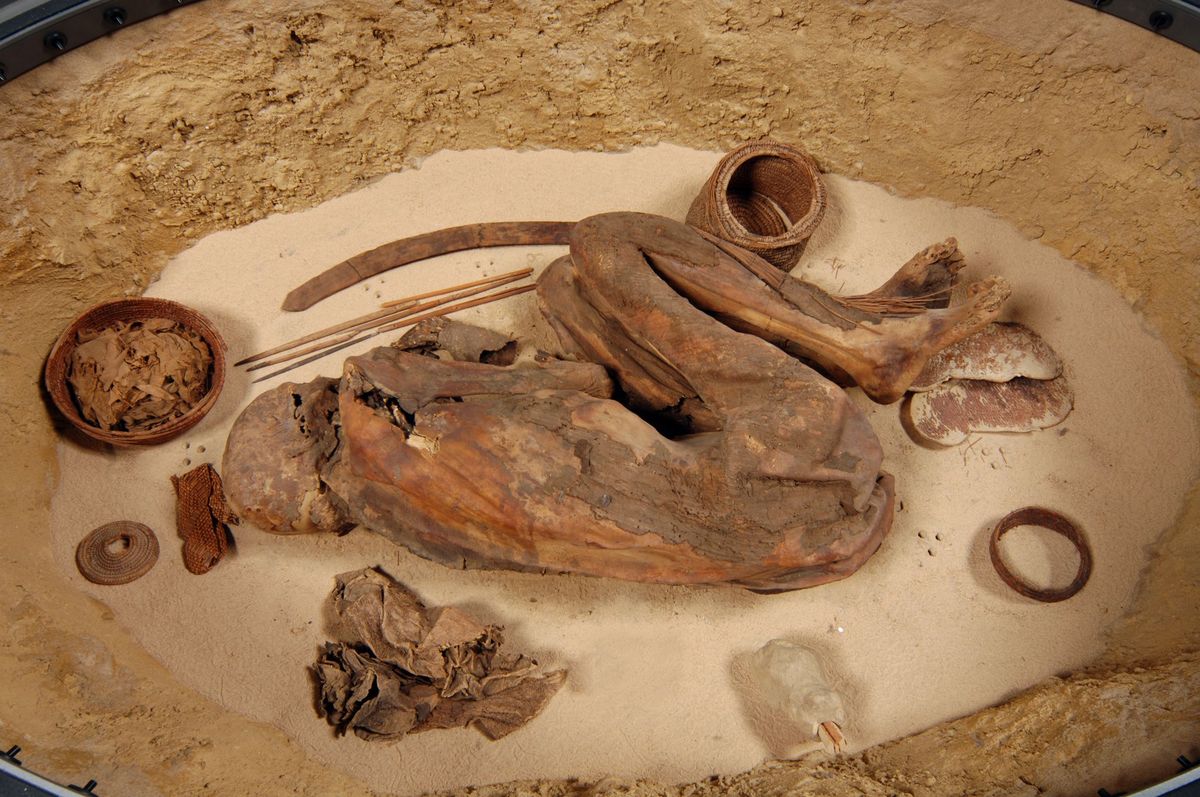 Lange tijd meenden onderzoekers dat prehistorische mummies in het oude Egypte door natuurlijke omstandigheden waren gemummificeerd Maar er is steeds meer bewijs dat deze doden al in de prehistorie met behulp van balsemvloeistoffen werden geconserveerd
