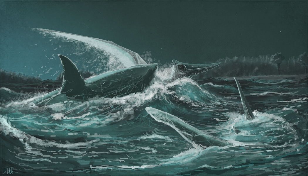 Een illustratie van een pteranodon die ten prooi valt aan Squalicorax kaupi een haai uit de prehistorie