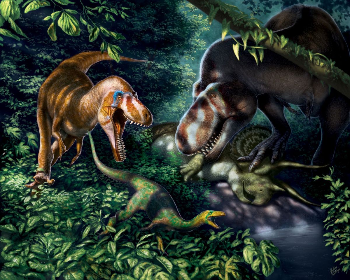 Uit fossielen die vermoedelijk afkomstig zijn van een jeugdige Tyrannosaurus rex blijkt dat deze vervaarlijke monsters in hun tienerjaren slanke en wendbare roofdieren met mesvormige tanden waren