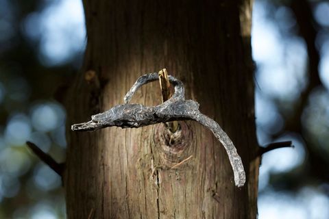 In de lente van 2015 werd op de vindplaats van Cape Creek op het eiland Hatteras een deel van het heft van een ijzeren rapier gevonden Dit soort zwaarden werden door voorname Engelsmannen gedragen