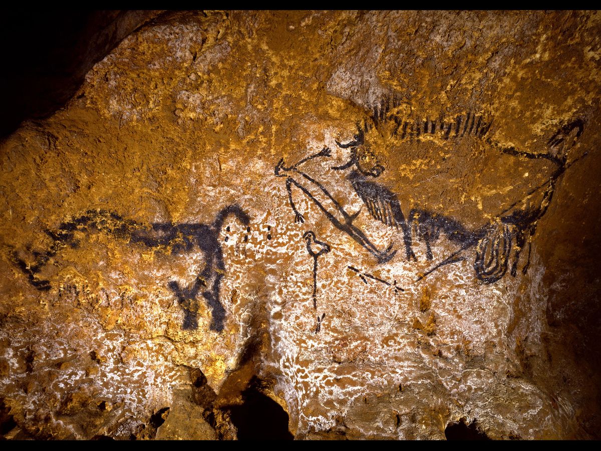 french cave painting